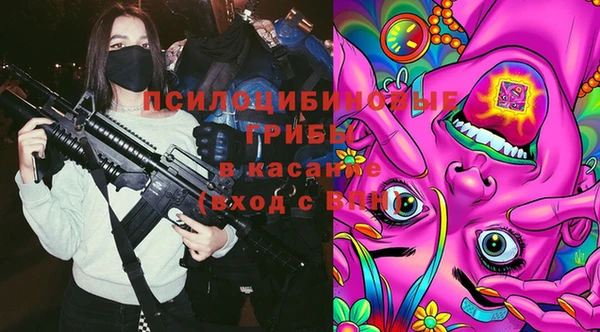 каннабис Беломорск