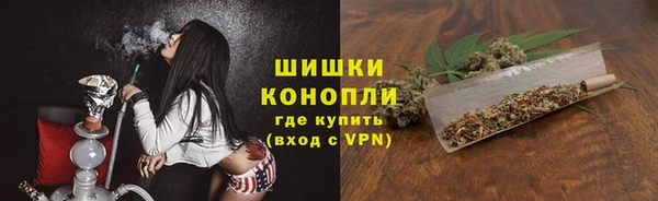 ешки Белокуриха