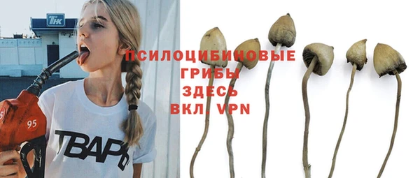 ешки Белокуриха