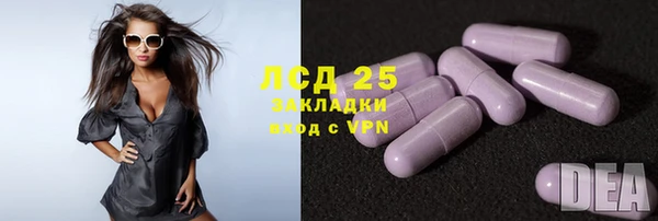 ешки Белокуриха