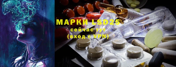 ешки Белокуриха